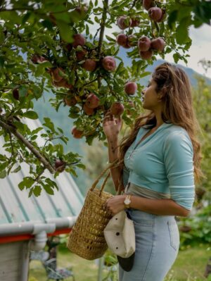 Anisha Sahai Instagram - A soft chapter, tucked in green 🌲🌧️⛰️🍎🌳 

📸 @vaiibhavsachdeva
