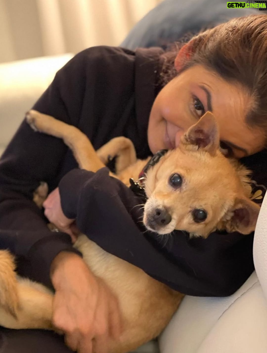 Anjali Bhimani - 8.6K Likes - Have needed time before sharing, but it’s not gonna get any easier to write this, so here goes. My heart is broken into a thousand pieces. The Mayor of Doggo now has an aureate glow. We’ll still sing his song here on Earth while the dogs in Doggo sing it at his daily parade. Because we love him the mostest, the mostest of all. 

Oh sweet sweet boy,

From the moment I saw you 15 years ago - little nugget, little man - when you pranced over and into my heart, it was love at first sight. Then, a month or so later when you met your papa, it was love at first sight for him too (even though it took the him and me a while longer for us to realize we were going to be your pawrents together). You healed my heart when it was broken before you, and I know you will heal both mine and Papa Dog’s again from where you are by sending memories to us throughout every day. We’re going to keep working hard to make you proud down here, carrying on the work you inspired us to start with the Puppy Roll in the land of Doggo and with I Am Fun Size and with our writing and our videos and all the plans we had and have to make more together …but most of all, I’m so grateful for the way you taught me to love - to love others and love myself. I’m a better human because of your gentle, insistent love, your licks, your silliness, your cleverness, your snuggles, your derpy tongue, the way your perfect little head fit in the crook of my neck, your tiny paws, and everything you were to me and to us while you were with us in this realm. Please send a sending bone from where you are now and then, even if it’s just in my dreams. When I’m sleeping, and when Papa is too, we can all dream that the pack is back until we all get to snuggle together again. 

#charleythebestdog