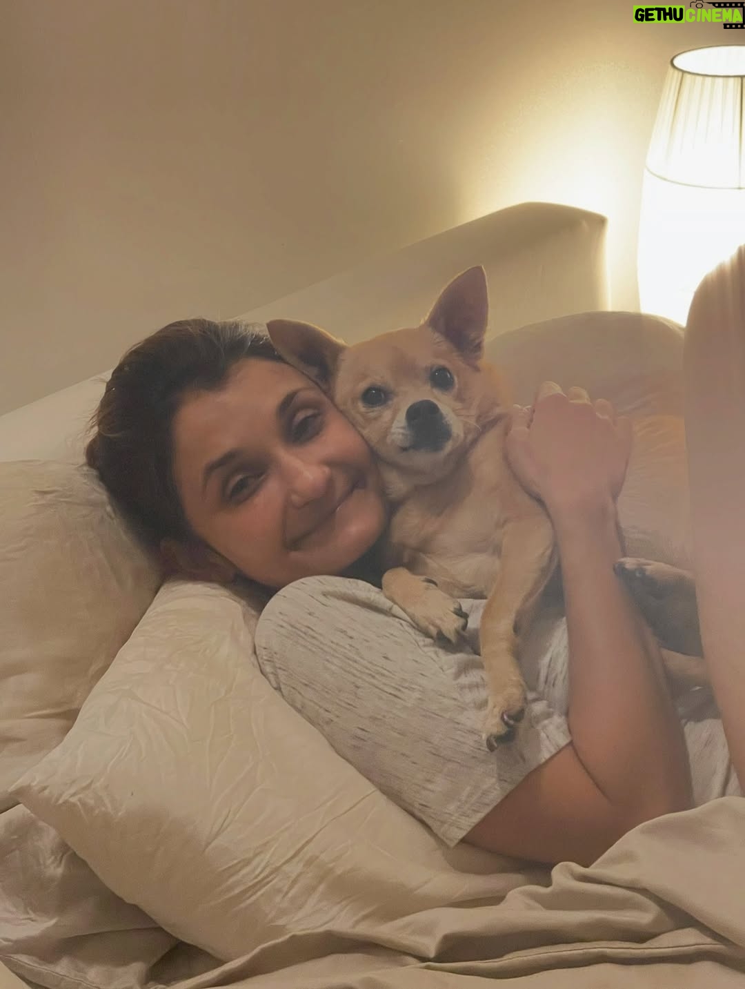 Anjali Bhimani - 8.6K Likes - Have needed time before sharing, but it’s not gonna get any easier to write this, so here goes. My heart is broken into a thousand pieces. The Mayor of Doggo now has an aureate glow. We’ll still sing his song here on Earth while the dogs in Doggo sing it at his daily parade. Because we love him the mostest, the mostest of all. 

Oh sweet sweet boy,

From the moment I saw you 15 years ago - little nugget, little man - when you pranced over and into my heart, it was love at first sight. Then, a month or so later when you met your papa, it was love at first sight for him too (even though it took the him and me a while longer for us to realize we were going to be your pawrents together). You healed my heart when it was broken before you, and I know you will heal both mine and Papa Dog’s again from where you are by sending memories to us throughout every day. We’re going to keep working hard to make you proud down here, carrying on the work you inspired us to start with the Puppy Roll in the land of Doggo and with I Am Fun Size and with our writing and our videos and all the plans we had and have to make more together …but most of all, I’m so grateful for the way you taught me to love - to love others and love myself. I’m a better human because of your gentle, insistent love, your licks, your silliness, your cleverness, your snuggles, your derpy tongue, the way your perfect little head fit in the crook of my neck, your tiny paws, and everything you were to me and to us while you were with us in this realm. Please send a sending bone from where you are now and then, even if it’s just in my dreams. When I’m sleeping, and when Papa is too, we can all dream that the pack is back until we all get to snuggle together again. 

#charleythebestdog
