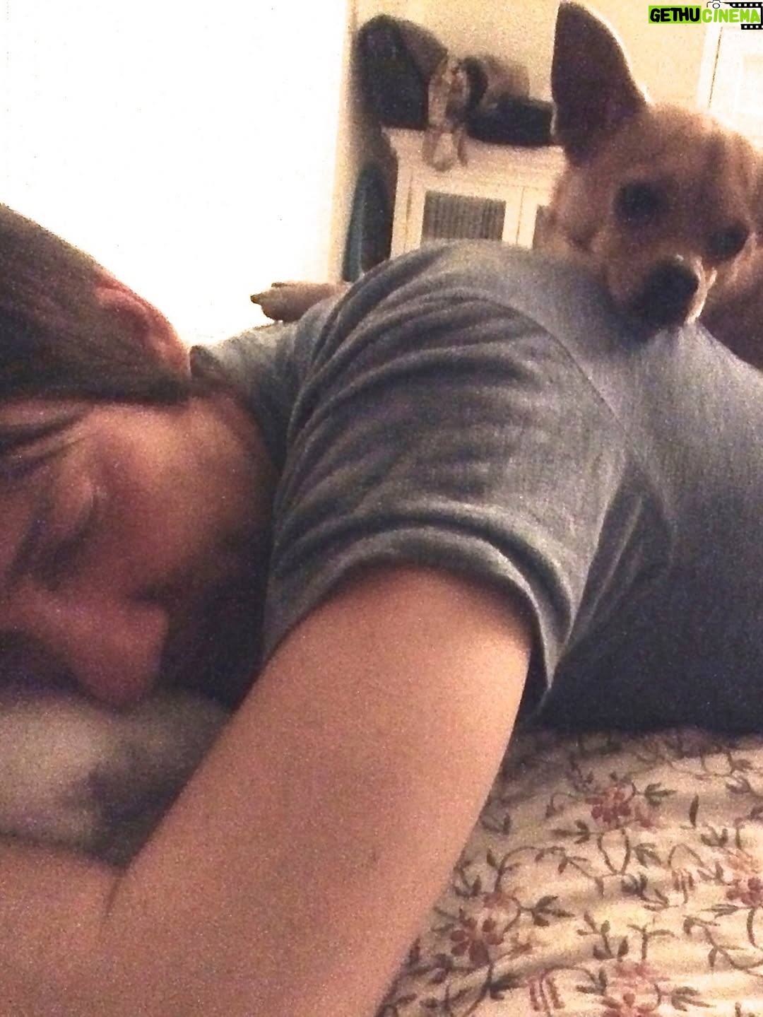 Anjali Bhimani - 8.6K Likes - Have needed time before sharing, but it’s not gonna get any easier to write this, so here goes. My heart is broken into a thousand pieces. The Mayor of Doggo now has an aureate glow. We’ll still sing his song here on Earth while the dogs in Doggo sing it at his daily parade. Because we love him the mostest, the mostest of all. 

Oh sweet sweet boy,

From the moment I saw you 15 years ago - little nugget, little man - when you pranced over and into my heart, it was love at first sight. Then, a month or so later when you met your papa, it was love at first sight for him too (even though it took the him and me a while longer for us to realize we were going to be your pawrents together). You healed my heart when it was broken before you, and I know you will heal both mine and Papa Dog’s again from where you are by sending memories to us throughout every day. We’re going to keep working hard to make you proud down here, carrying on the work you inspired us to start with the Puppy Roll in the land of Doggo and with I Am Fun Size and with our writing and our videos and all the plans we had and have to make more together …but most of all, I’m so grateful for the way you taught me to love - to love others and love myself. I’m a better human because of your gentle, insistent love, your licks, your silliness, your cleverness, your snuggles, your derpy tongue, the way your perfect little head fit in the crook of my neck, your tiny paws, and everything you were to me and to us while you were with us in this realm. Please send a sending bone from where you are now and then, even if it’s just in my dreams. When I’m sleeping, and when Papa is too, we can all dream that the pack is back until we all get to snuggle together again. 

#charleythebestdog