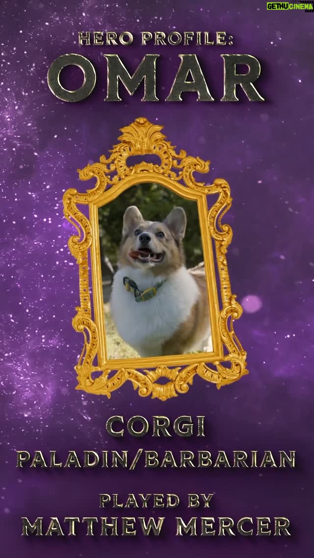 Anjali Bhimani - 17.4K Likes - 🐾Is it OMARsday yet??? it sure is! @matthewmercervo & @marisha_ray ‘s little corgi paladin /barbarian is ready to smite evil and steal your heart. ⚔️💖

Go to our Tiltify page to vote on what new item Omar should have for this year’s Puppy Roll.

🎲 The Puppy Roll 2: The Rise of Gato
 💖 Petco & Petco Love
 👉 bit.ly/thepuppyroll2

Cast: 
@matthewmercervo 
 @quiddie 
 @itsginnydi ⁩ 
 @maggiethebard 
@eaxford 
@jongraz 
@ashleythejohnson 
and DM’d by me, Anjali Bhimani
 ⁨⁩ 
Sponsored by: 
 ⁨#heroforgeminis #dndwizards & #mistymountaingaming⁩ 
 ⁨⁩