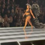 Ashley Graham