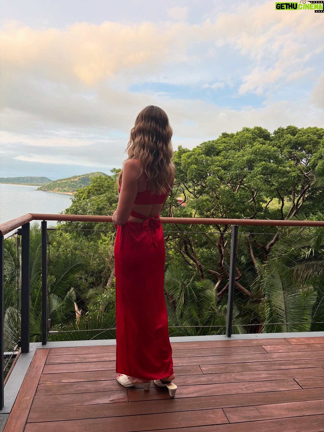 Ashley Newbrough - 2.5K Likes - caught between jungle and sky