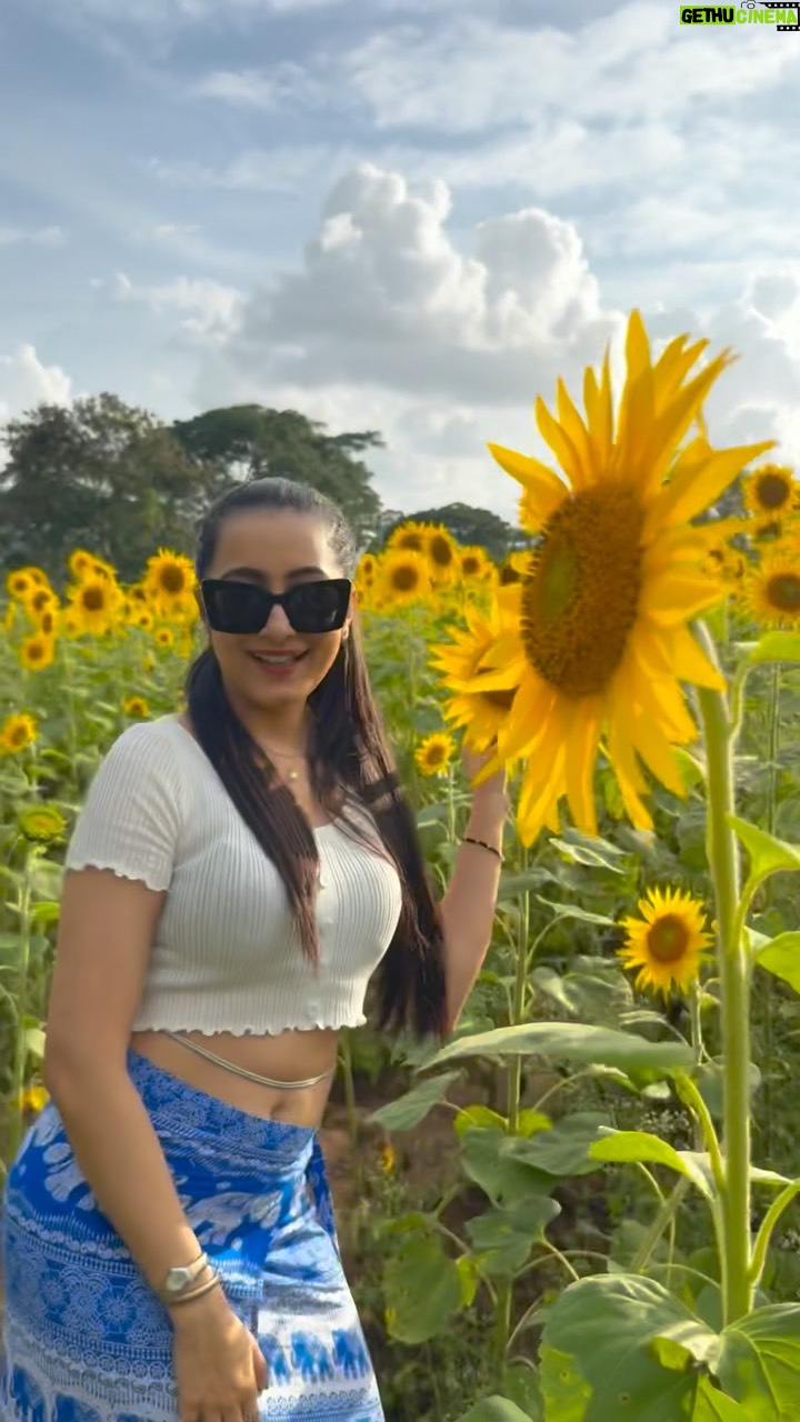 Ashvithi Shetty - 4.8K Likes - Fell in love 🌻