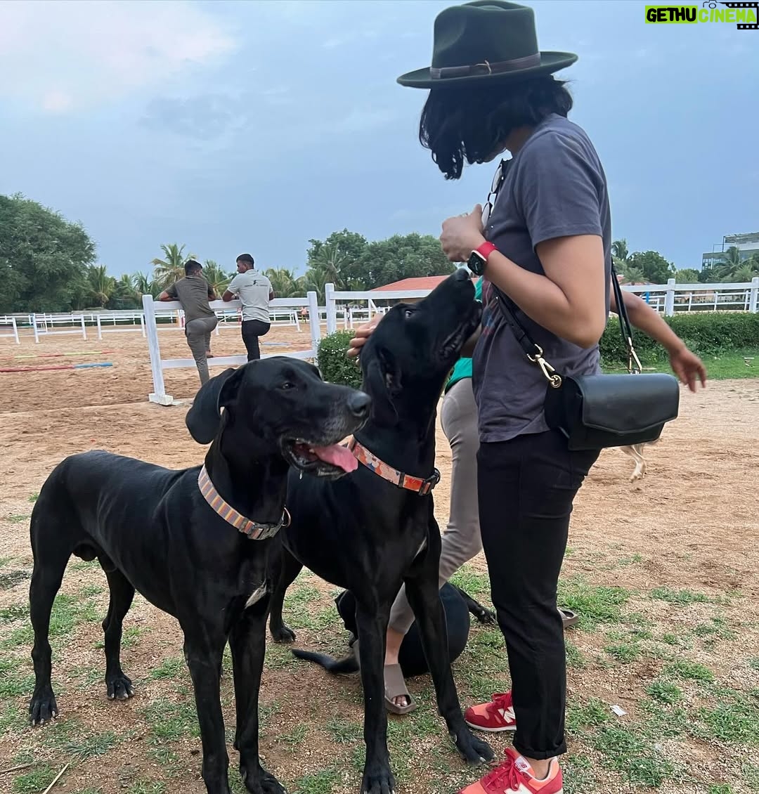 Ashwini Ponnappa - 6.6K Likes - 👭🐎 🐕 🌅 
.
.
.
.
#muchneeded ♥️