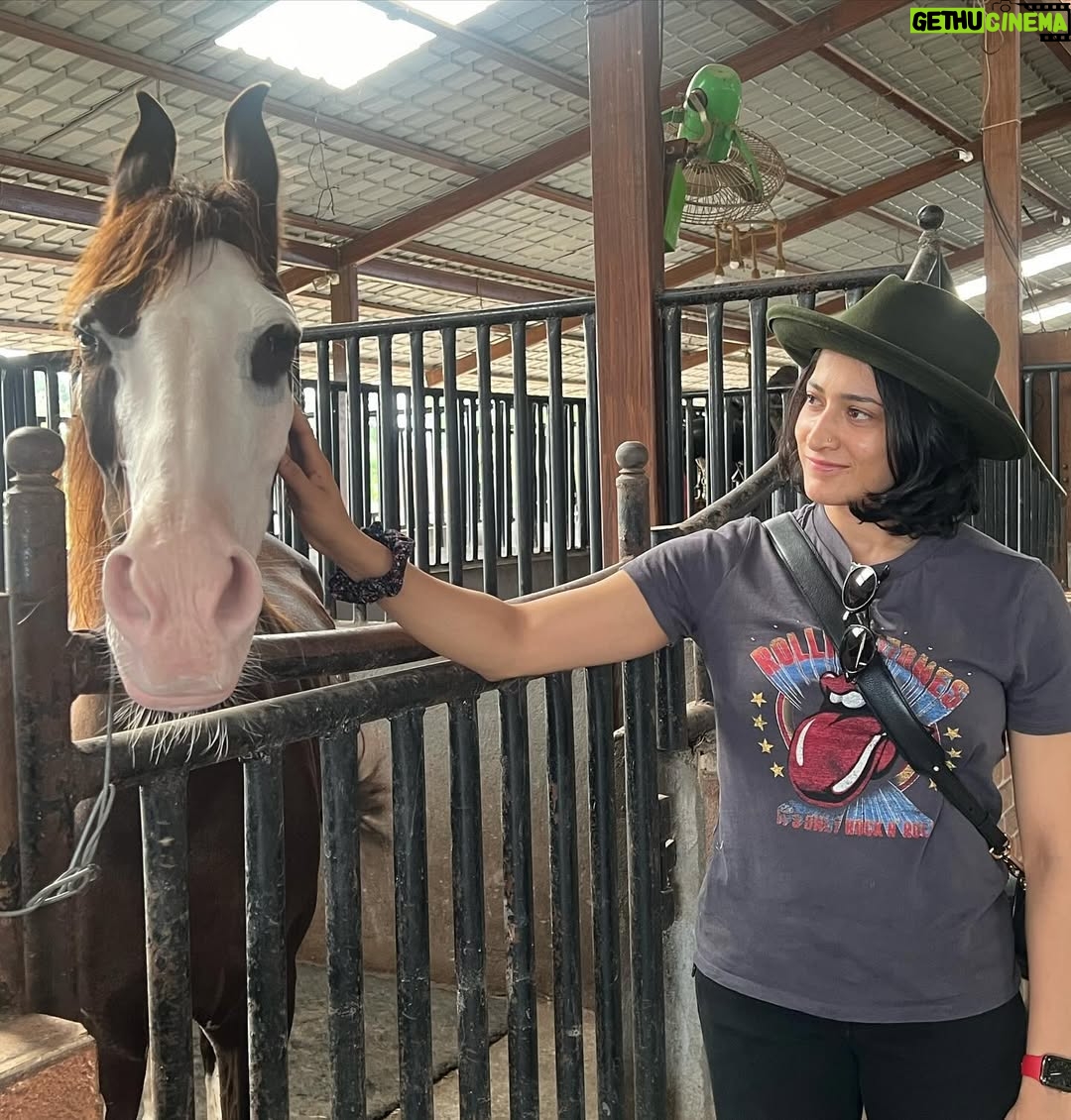 Ashwini Ponnappa - 6.6K Likes - 👭🐎 🐕 🌅 
.
.
.
.
#muchneeded ♥️