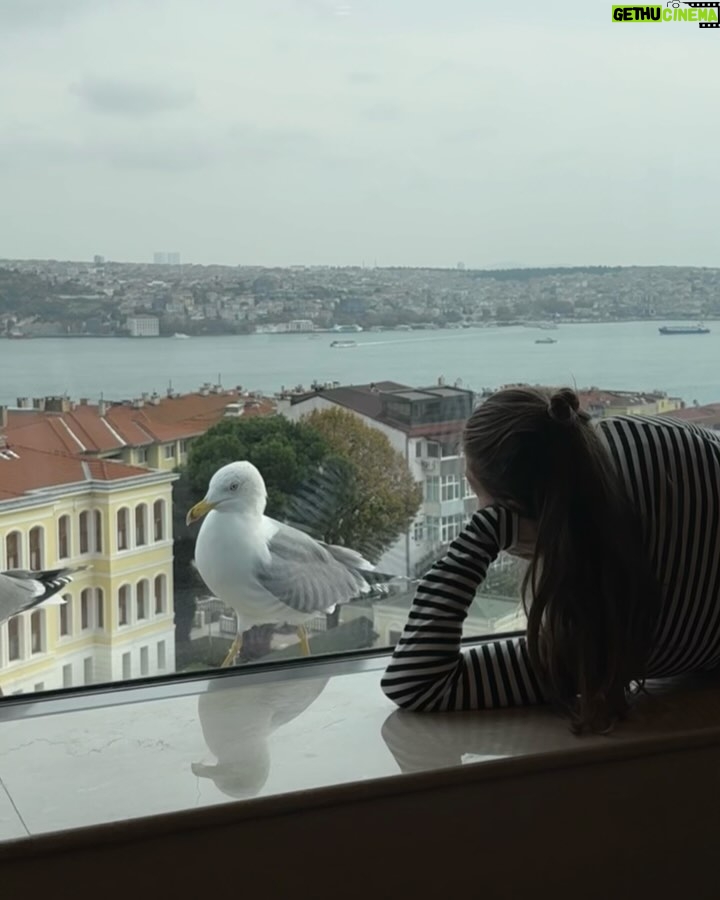 Aslı Enver - 515.8K Likes - Bugün benim doğum günüm…
Bu sene kendim için bir dileğim yok. 
Hepimiz için var:
Birbirimizi daha çok duyalım.
Daha çok anlayalım.
Daha az korkalım.
Daha adil, daha vicdanlı, daha huzurlu olalım.
Kadınların güvende, çocukların neşeyle, hayvanların sevgiyle yaşadığı günler dileğiyle…🤍