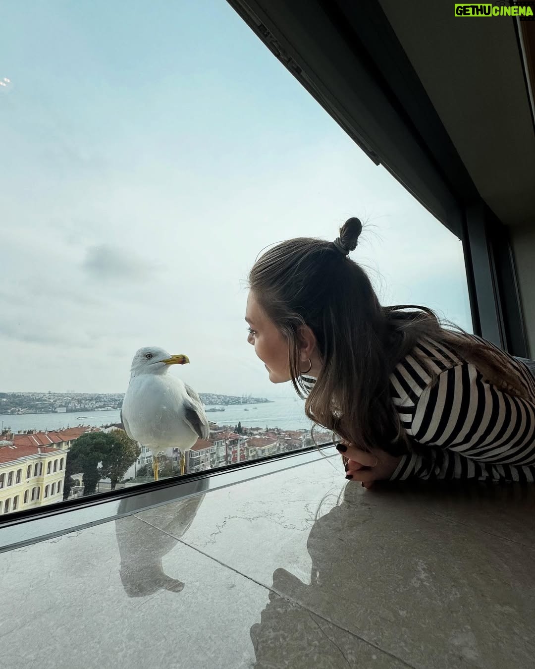 Aslı Enver - 515.8K Likes - Bugün benim doğum günüm…
Bu sene kendim için bir dileğim yok. 
Hepimiz için var:
Birbirimizi daha çok duyalım.
Daha çok anlayalım.
Daha az korkalım.
Daha adil, daha vicdanlı, daha huzurlu olalım.
Kadınların güvende, çocukların neşeyle, hayvanların sevgiyle yaşadığı günler dileğiyle…🤍