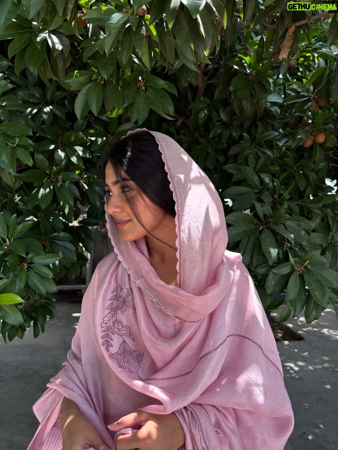 Asmeet Sehra - 4.6K Likes - Qawali jehi lagdi🌸

Look at those little chikoos behind me😁

Suit @label_ramtex
