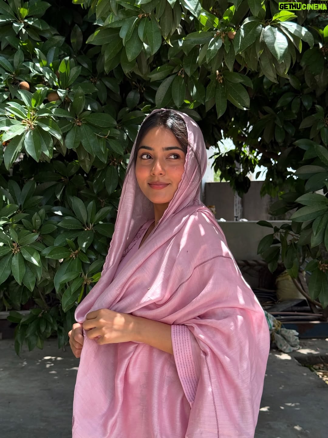 Asmeet Sehra - 4.6K Likes - Qawali jehi lagdi🌸

Look at those little chikoos behind me😁

Suit @label_ramtex