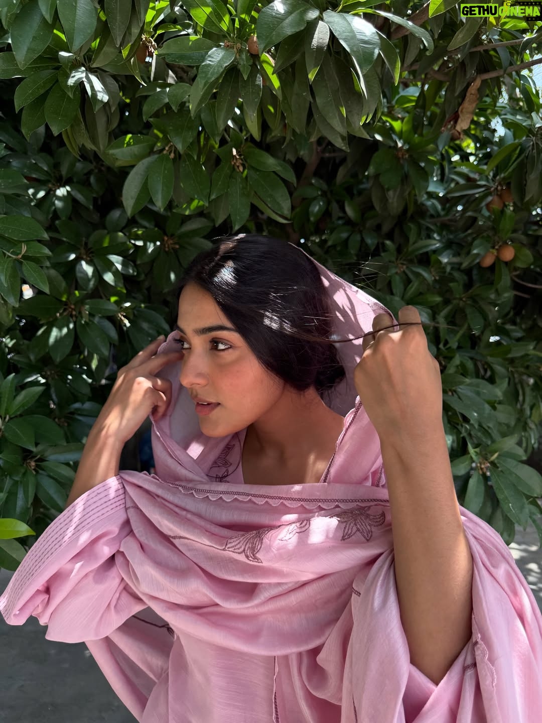 Asmeet Sehra - 4.6K Likes - Qawali jehi lagdi🌸

Look at those little chikoos behind me😁

Suit @label_ramtex