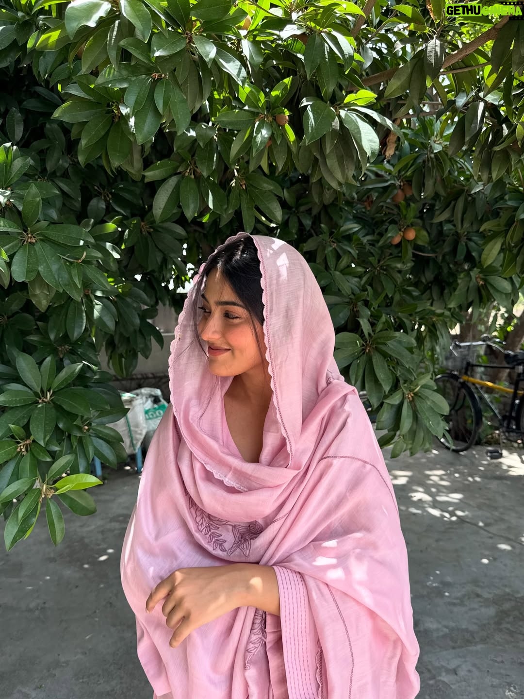 Asmeet Sehra - 4.6K Likes - Qawali jehi lagdi🌸

Look at those little chikoos behind me😁

Suit @label_ramtex