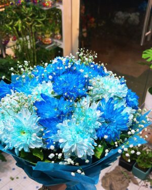 Astha Khandelwal Instagram - Constantly pretending I’m in a movie🪭✨ 
💇‍♀️ @tressesbynitin 

#BlueBliss #FloralDreams #NatureInspired #BouquetLove #FreshVibes #FlowerTherapy #PetalPerfection #ColorPop #AestheticGoals #MoodLifter”
#ElegantVibes
#StarryNights
#NaturalBeauty
#EveningGlow
#ChicStyle
#GoldenHour
#InTheMoment
#StyleInspiration
#EffortlessBeauty
#ClassicCharm
#ModelLife
#InfluencerVibes
#FashionMood
#RadiantGlow
#underthestars