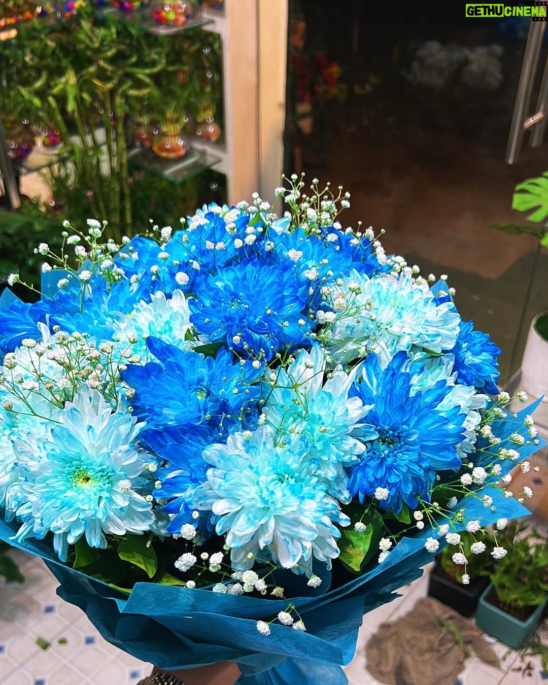 Astha Khandelwal - 5.7K Likes - Constantly pretending I’m in a movie🪭✨ 
💇‍♀️ @tressesbynitin 

#BlueBliss #FloralDreams #NatureInspired #BouquetLove #FreshVibes #FlowerTherapy #PetalPerfection #ColorPop #AestheticGoals #MoodLifter”
#ElegantVibes
#StarryNights
#NaturalBeauty
#EveningGlow
#ChicStyle
#GoldenHour
#InTheMoment
#StyleInspiration
#EffortlessBeauty
#ClassicCharm
#ModelLife
#InfluencerVibes
#FashionMood
#RadiantGlow
#underthestars