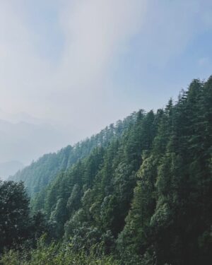 Astha Khandelwal Instagram - Even though life seems to stand still, the future is coming!

#peacefulgetaway #sceniclandour #himalayanretreat #hiddengem #landourcafe #exploreindia #travelinstyle #bootseason