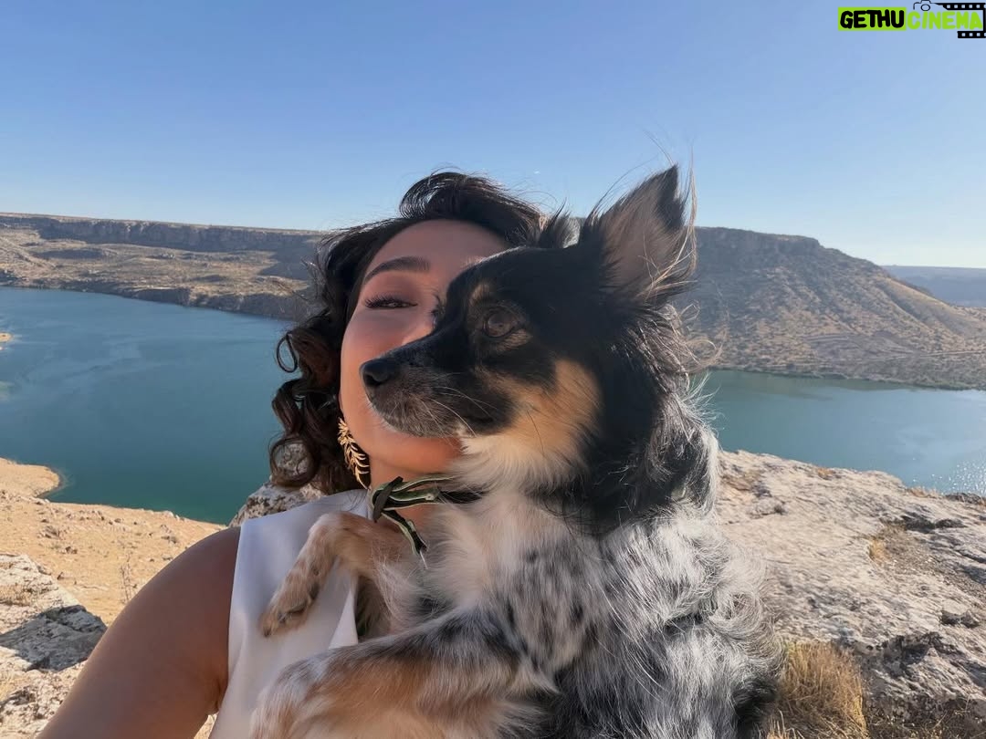 Aybüke Pusat - 173.9K Likes - Bu coğrafyanın filtreye ihtiyacı yok 🌾 Tabi Biruş’un da 🦭💌🧿