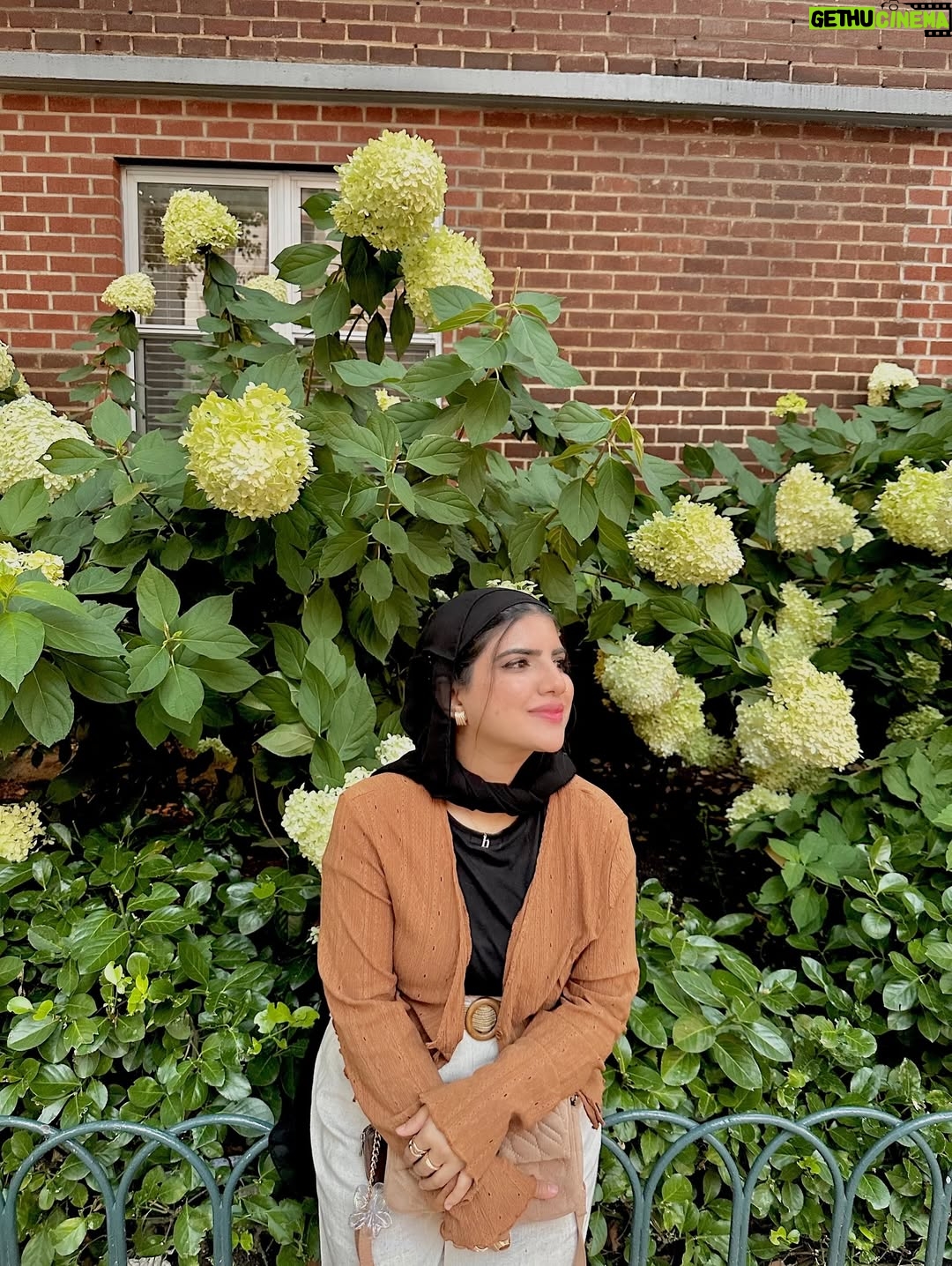 Ayesha Ijaz - 521 Likes - august diaries: cozy corners, delicious bites,
& that happyyy feeling of being lost in a world of cameras.🫀🥹🤍