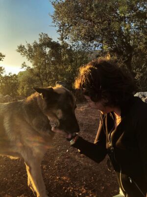 Aylin Aslım Instagram - Az önce dünyanın en iyi köpeği aslan yürekli Co’yla vedalaştık. Bir gün tekrar buluşacağımıza söz verdik. Muhteşem bir arkadaştı. Bir kez bile üzmedi beni, bir kez. Ona hak ettiği hayatı yaşatmak için elimizden geleni yaptık. Hatamız olduysa da, ki olmuştur, bir kere bile bize hissettirmedi. İyi ki bize geldin, güle güle dünyanın en güzel oğlu. 🤍
Seni çok özleyeceğiz. @lustrog #satinalmasahiplen