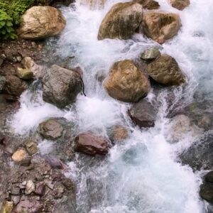 Bani Kaur Instagram - NATURE IS THE PUREST PORTAL TO INNER PEACE😌🍃🌺🏔️✨#trending #dehradun #farmhouselife #banivlogz #naturephotography