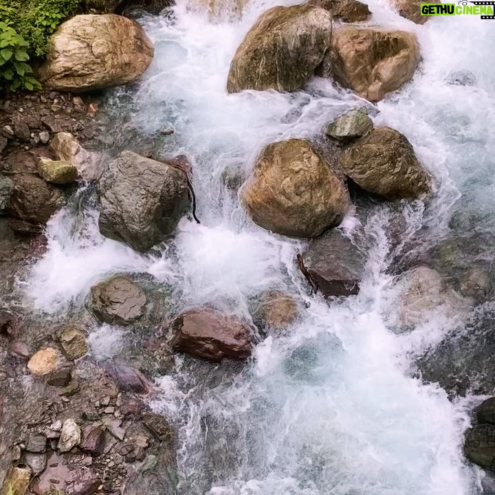 Bani Kaur - 1.9K Likes - NATURE IS THE PUREST PORTAL TO INNER PEACE😌🍃🌺🏔️✨#trending #dehradun #farmhouselife #banivlogz #naturephotography