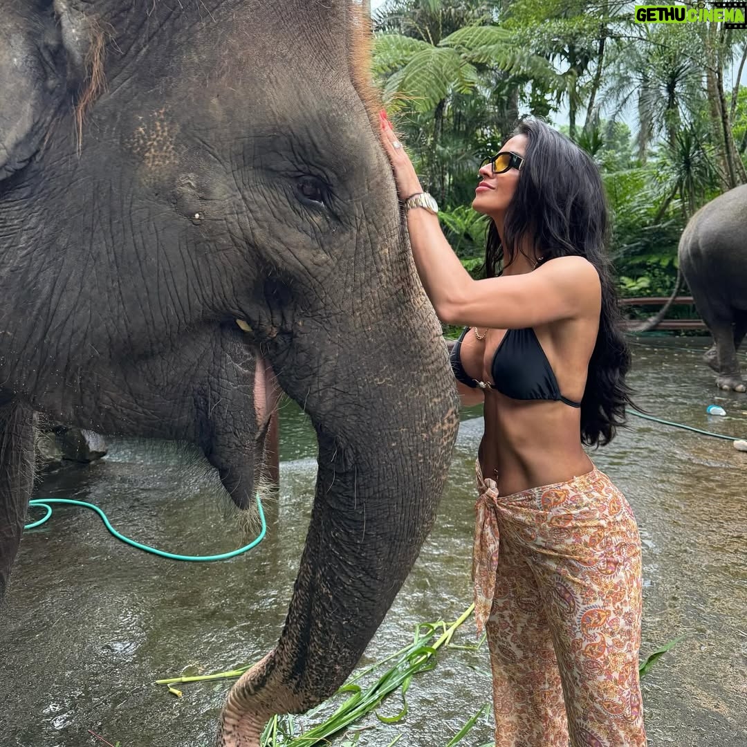 Bárbara de Regil - 1 Million Likes - Bali 🌴🐒🥥 te ame ! Te extraño 
pero te prefiero a ti Tulum …
Soy Géminis siempre cambio de ideas 💡