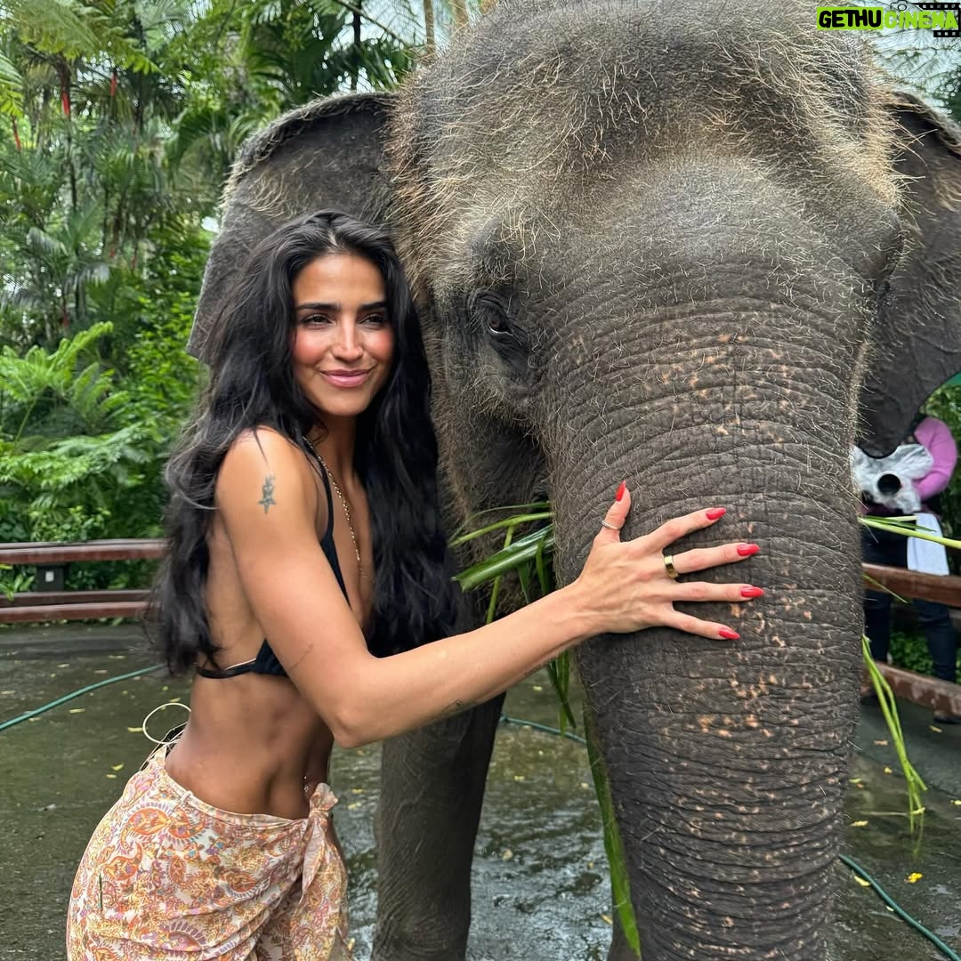 Bárbara de Regil - 1 Million Likes - Bali 🌴🐒🥥 te ame ! Te extraño 
pero te prefiero a ti Tulum …
Soy Géminis siempre cambio de ideas 💡