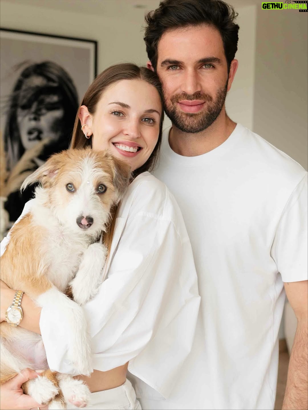 Belén Soto - 47.9K Likes - Bienvenido Jack 🐾
Hace unos meses sentí que mi corazón se rompía en pedacitos… Cuando Ralph, el amor de mi vida, se fue en noviembre, juré que nunca más iba a poder abrirme a la idea de tener un nuevo compañero. El dolor era demasiado. Y cuando adoptamos a Hugo, llena de ilusiones, la vida me volvió a golpear: partió a la semana, enfermito, con un destino que no pudimos cambiar. En ese momento pensé que lo mejor era desistir, que ya no podía más.

Pero la vida es sabia y me mostró que la mejor manera de sanar no era cerrando el corazón, sino abrirlo aún más. Conocer la historia de Hugo me abrió los ojos: entendí que hay tantos peludos allá afuera esperando un hogar, esperando amor, esperando una familia.

Hoy, después de dos meses juntos, puedo decirles que Jack llegó para enseñarme que del duelo también nace la esperanza, y que la forma más linda de honrar a Ralph y a Hugo es seguir dando amor. 

Ojalá este mensaje llegue a muchos corazones y más personas se animen a adoptar. Porque cuando adoptas, no solo salvas una vida… también sanas la tuya.

Bienvenido a nuestra pequeña familia, Jack 🐶