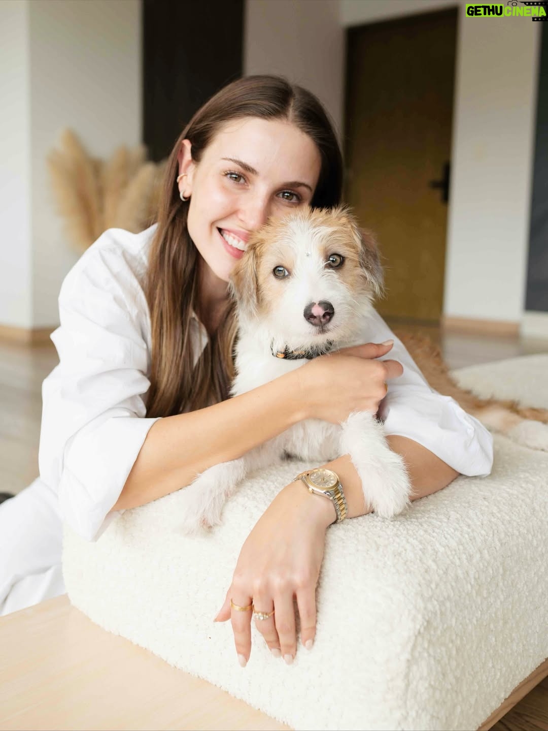 Belén Soto - 47.9K Likes - Bienvenido Jack 🐾
Hace unos meses sentí que mi corazón se rompía en pedacitos… Cuando Ralph, el amor de mi vida, se fue en noviembre, juré que nunca más iba a poder abrirme a la idea de tener un nuevo compañero. El dolor era demasiado. Y cuando adoptamos a Hugo, llena de ilusiones, la vida me volvió a golpear: partió a la semana, enfermito, con un destino que no pudimos cambiar. En ese momento pensé que lo mejor era desistir, que ya no podía más.

Pero la vida es sabia y me mostró que la mejor manera de sanar no era cerrando el corazón, sino abrirlo aún más. Conocer la historia de Hugo me abrió los ojos: entendí que hay tantos peludos allá afuera esperando un hogar, esperando amor, esperando una familia.

Hoy, después de dos meses juntos, puedo decirles que Jack llegó para enseñarme que del duelo también nace la esperanza, y que la forma más linda de honrar a Ralph y a Hugo es seguir dando amor. 

Ojalá este mensaje llegue a muchos corazones y más personas se animen a adoptar. Porque cuando adoptas, no solo salvas una vida… también sanas la tuya.

Bienvenido a nuestra pequeña familia, Jack 🐶