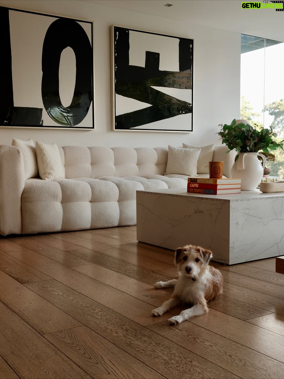 Belén Soto - 47.9K Likes - Bienvenido Jack 🐾
Hace unos meses sentí que mi corazón se rompía en pedacitos… Cuando Ralph, el amor de mi vida, se fue en noviembre, juré que nunca más iba a poder abrirme a la idea de tener un nuevo compañero. El dolor era demasiado. Y cuando adoptamos a Hugo, llena de ilusiones, la vida me volvió a golpear: partió a la semana, enfermito, con un destino que no pudimos cambiar. En ese momento pensé que lo mejor era desistir, que ya no podía más.

Pero la vida es sabia y me mostró que la mejor manera de sanar no era cerrando el corazón, sino abrirlo aún más. Conocer la historia de Hugo me abrió los ojos: entendí que hay tantos peludos allá afuera esperando un hogar, esperando amor, esperando una familia.

Hoy, después de dos meses juntos, puedo decirles que Jack llegó para enseñarme que del duelo también nace la esperanza, y que la forma más linda de honrar a Ralph y a Hugo es seguir dando amor. 

Ojalá este mensaje llegue a muchos corazones y más personas se animen a adoptar. Porque cuando adoptas, no solo salvas una vida… también sanas la tuya.

Bienvenido a nuestra pequeña familia, Jack 🐶