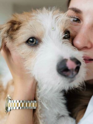 Belén Soto Instagram - Bienvenido Jack 🐾
Hace unos meses sentí que mi corazón se rompía en pedacitos… Cuando Ralph, el amor de mi vida, se fue en noviembre, juré que nunca más iba a poder abrirme a la idea de tener un nuevo compañero. El dolor era demasiado. Y cuando adoptamos a Hugo, llena de ilusiones, la vida me volvió a golpear: partió a la semana, enfermito, con un destino que no pudimos cambiar. En ese momento pensé que lo mejor era desistir, que ya no podía más.

Pero la vida es sabia y me mostró que la mejor manera de sanar no era cerrando el corazón, sino abrirlo aún más. Conocer la historia de Hugo me abrió los ojos: entendí que hay tantos peludos allá afuera esperando un hogar, esperando amor, esperando una familia.

Hoy, después de dos meses juntos, puedo decirles que Jack llegó para enseñarme que del duelo también nace la esperanza, y que la forma más linda de honrar a Ralph y a Hugo es seguir dando amor. 

Ojalá este mensaje llegue a muchos corazones y más personas se animen a adoptar. Porque cuando adoptas, no solo salvas una vida… también sanas la tuya.

Bienvenido a nuestra pequeña familia, Jack 🐶