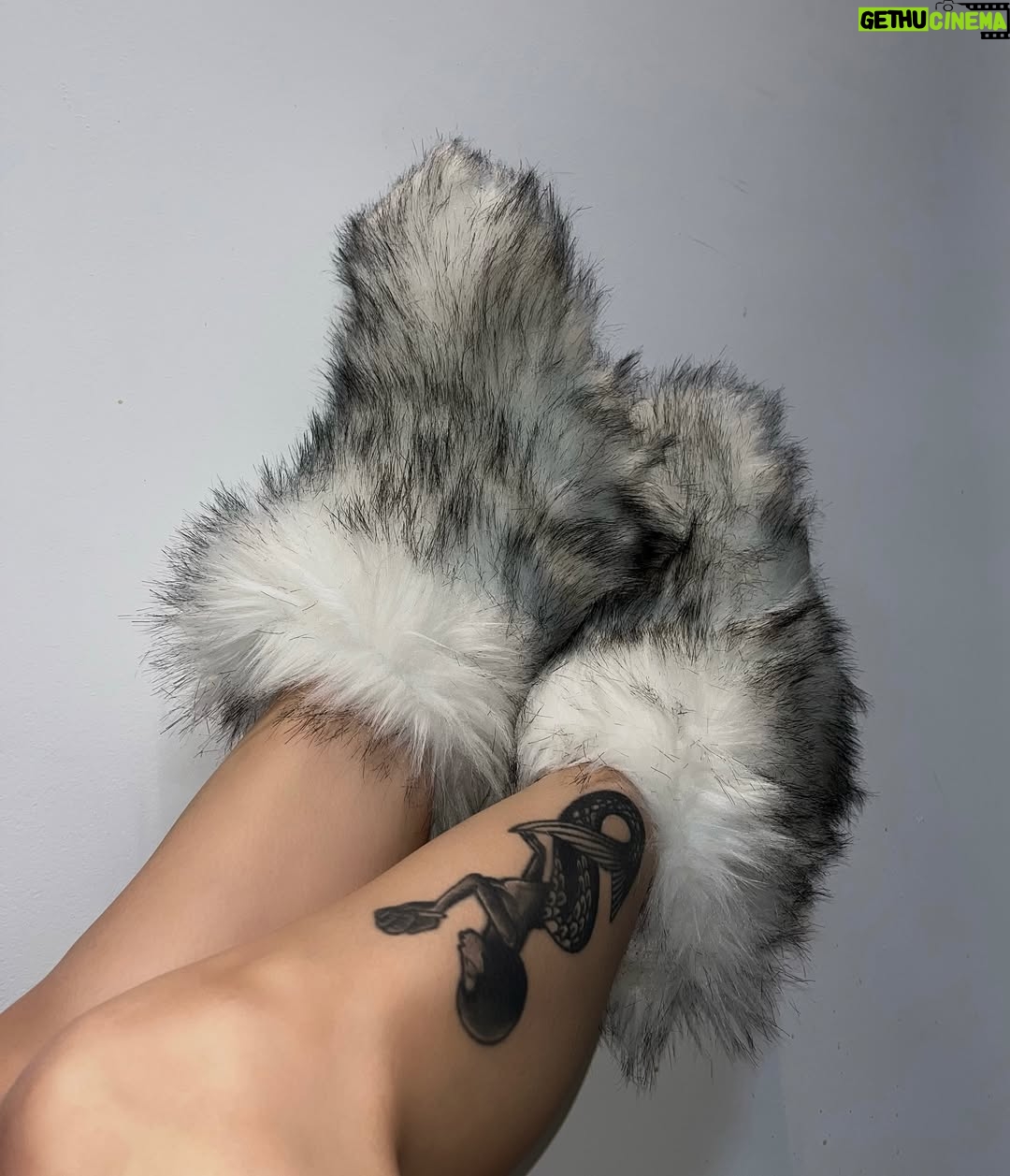 Belle Longwell - 19.2K Likes - @FashionNova OG 🎯

ref: Chilly Days Booties - White/combo

#publicite