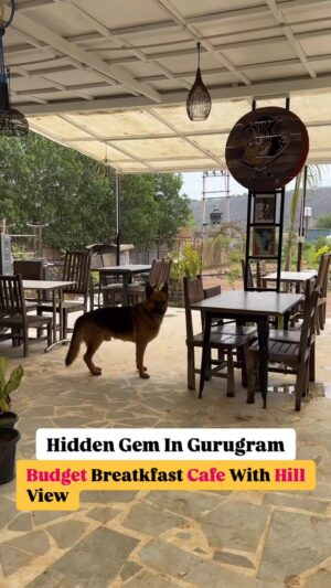 Bhawna Singla Instagram - Normal Breakfast❌ Breakfast cafe with Hill View✅
This is newly opened cafe in Leopard trails, Throttle shrottle, leopard trails!
Reasons to visit this place👇🏻
✅Budget friendly
✅Rooftop view
✅Pet friendly
✅Kids friendly
✅Family friendly
✅Instagrammable ambience
#sunday #breakfast #gurugram #gurugrammers #reel #weekend #weekenders #weekendvibes #weekendishere #explore #family #eggs #breads #butter #hillview #petfriendly #cafeholic