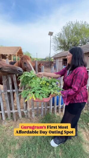 Bhawna Singla Instagram - Comment “Link” will send in DM! @tuktukgilhari
#animals #petting #farmstay #stay #kidsfriendly #dayout #dayoutings #viral #tiger #pottery #ngo #animalspetting