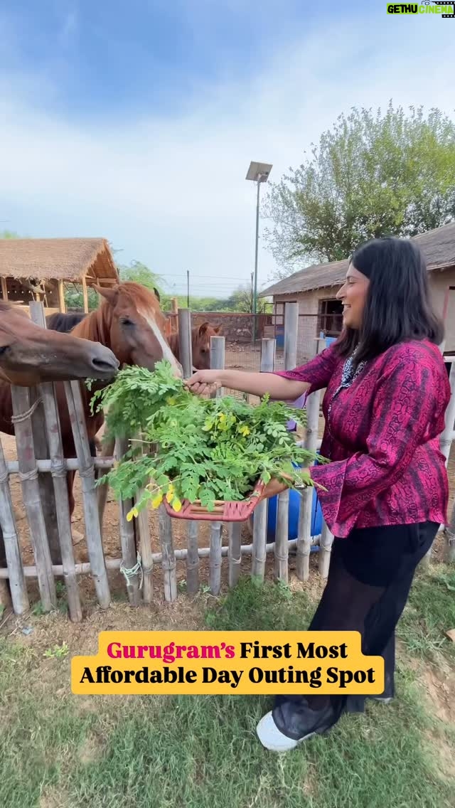 Bhawna Singla - 1.7K Likes - Comment “Link” will send in DM! @tuktukgilhari 

#animals #petting #farmstay #stay #kidsfriendly #dayout #dayoutings #viral #tiger #pottery #ngo #animalspetting