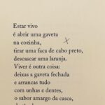 Bia Arantes