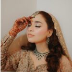 Bushra Gulfam