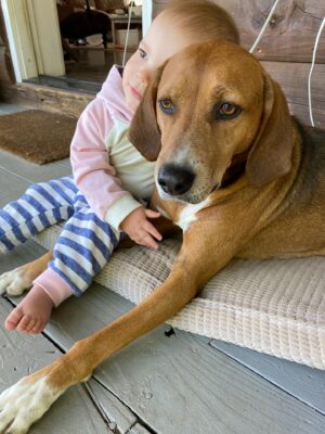 Cam Instagram - Happy Birthday Honey 🤍  11 years with our redbone coonhound rescue who absolutely *never* listens 🥹 You are a shining example of anarchy my gal and we love you!