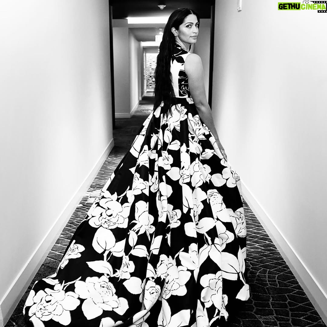 Camila Alves - 63.9K Likes - Husband and Son approved!!! @carolinaherrera @wesgordon fantastic dress! Our Daughter’s dress too!! (SCROLL TO SEE!) And your generosity on being the 2025 Fashion Show Designer for @mackjackmcconaughey charity event has helped impact so many children’s lives! Photos from the show to come!! Grateful for you and everyone in your team that was involved! Emilie, Jodie and everyone you all Rock!!! 
💚💛💚💛💚💛💚💛💚💛💚💛💚💛💚

Marido e filho aprovaram!!! @carolinaherrera @wesgordon vestido fantástico! O vestido da nossa filha também!! (ROLE PARA VER!) E sua generosidade em ser a Designer do Desfile de 2025 para o evento beneficente @mackjackmcconaughey ajudou a impactar a vida de tantas crianças! Fotos do desfile em breve!! Grata a você e a todos da sua equipe que estiveram envolvidos! Emilie, Jody e todos vocês arrasaram!!