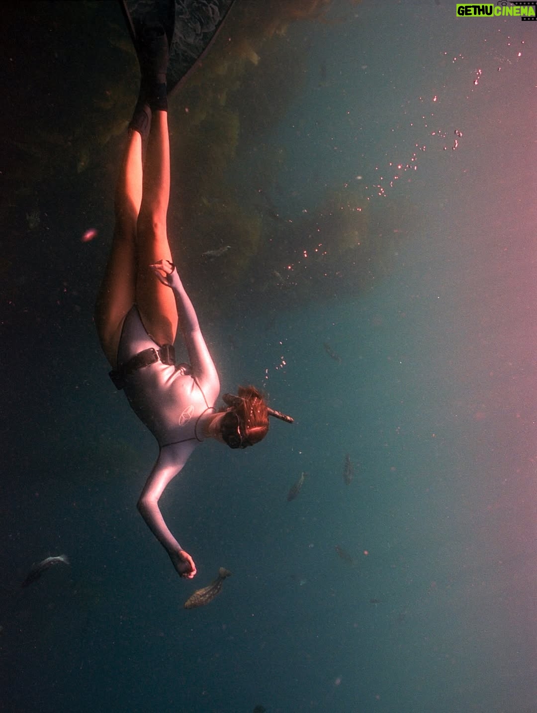 Carmel Rose - 13.9K Likes - Some film @swimmer_dude shot of me a few months back of a beautiful dive we did that I’ve been wanting to post 🤿