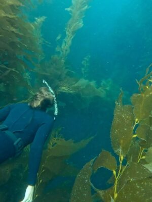 Carmel Rose Instagram - Some film @swimmer_dude shot of me a few months back of a beautiful dive we did that I’ve been wanting to post 🤿