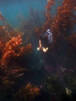 Carmel Rose Instagram - Some film @swimmer_dude shot of me a few months back of a beautiful dive we did that I’ve been wanting to post 🤿