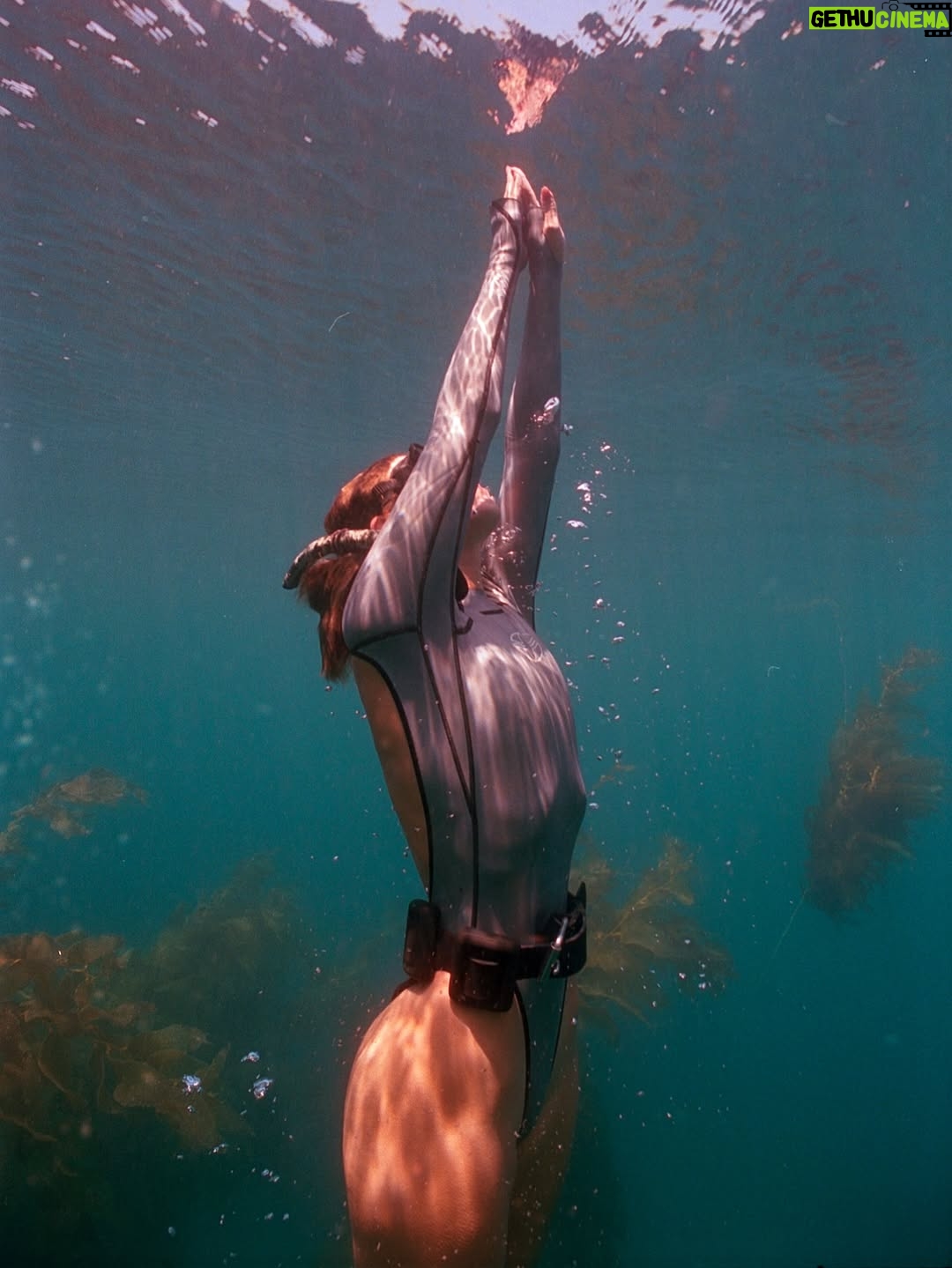 Carmel Rose - 13.9K Likes - Some film @swimmer_dude shot of me a few months back of a beautiful dive we did that I’ve been wanting to post 🤿
