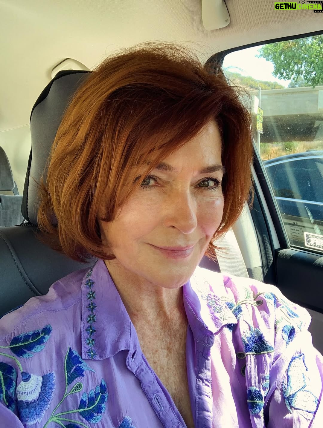 Carolyn Hennesy - 8K Likes - When my hair gets to be this length… I become Angie Dickinson! (Stop or I’ll shoot!) Or… Lee Remick (Damien…don’t!) #leeremick #angiedickenson #growingmyhairout