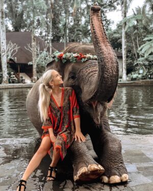 Cassidy Wolf Instagram - In awe of this beauty, rescued from Sumatra ❤️🐘 Thank you @elephantsbali for keeping these gentle giants safe & healthy   giving them a chance at survival. I think elephants are some of the most intelligent, social & empathic animals. It was an absolute dream to be in their presence & to learn more about where they came from & what the conservation is doing to protect   help rehabilitate these beautiful creatures.