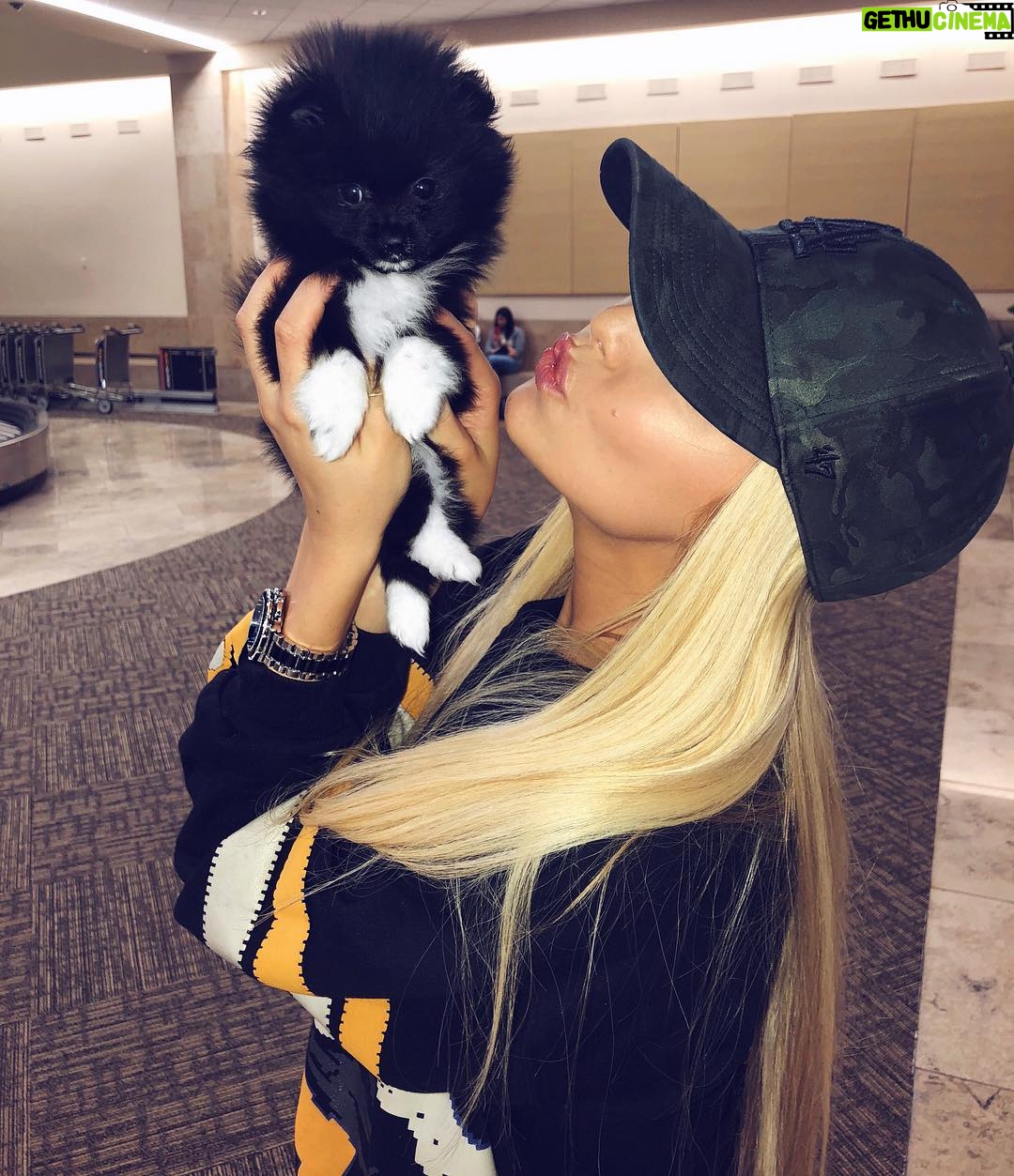 Cassidy Wolf - 3.1K Likes - Found the Bam Bam for my Pebbles. Welcome to the fam lil guy 🖤