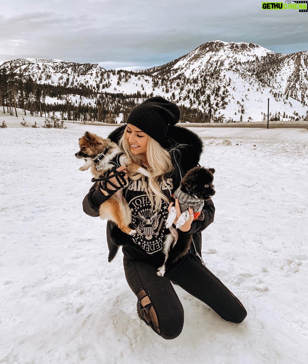 Cassidy Wolf - 2.9K Likes - You can bet your bottom dollar we had the most dysfunctional photo shoot 🐶