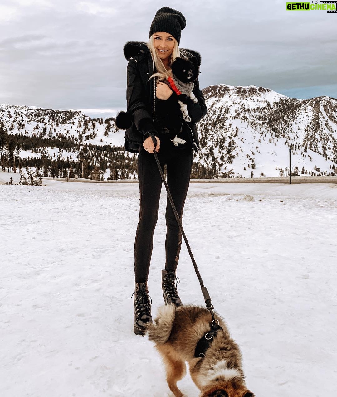 Cassidy Wolf - 2.9K Likes - You can bet your bottom dollar we had the most dysfunctional photo shoot 🐶