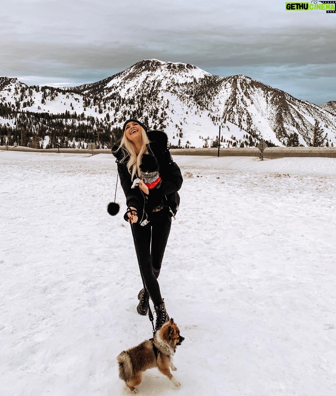 Cassidy Wolf - 2.9K Likes - You can bet your bottom dollar we had the most dysfunctional photo shoot 🐶