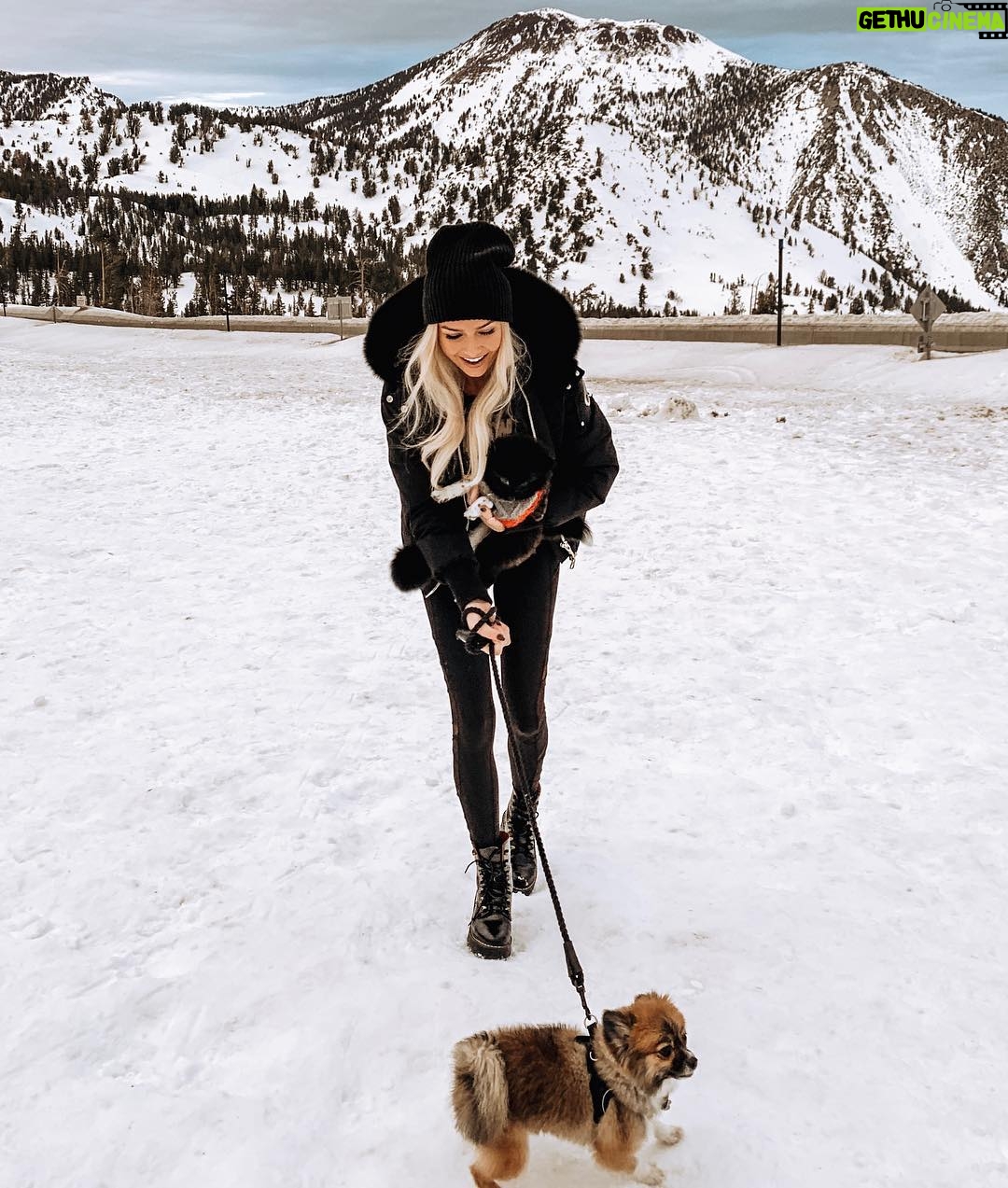 Cassidy Wolf - 2.9K Likes - You can bet your bottom dollar we had the most dysfunctional photo shoot 🐶