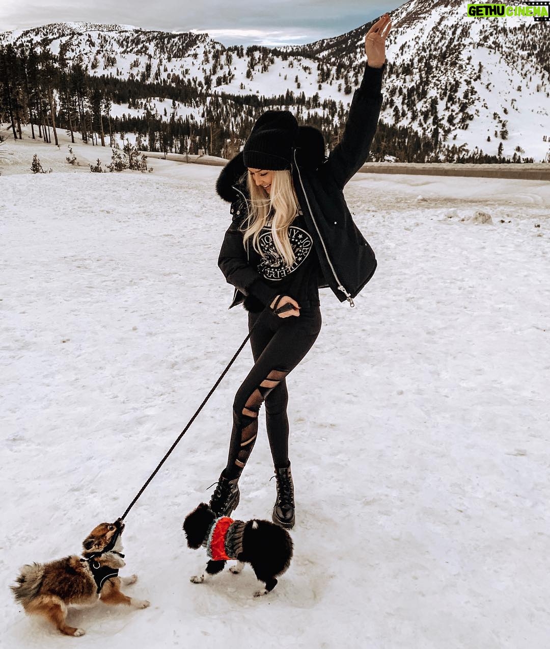 Cassidy Wolf - 2.9K Likes - You can bet your bottom dollar we had the most dysfunctional photo shoot 🐶
